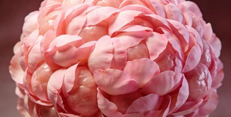 合肥BRCA1/2乳腺癌卵巢癌基因检测图片1